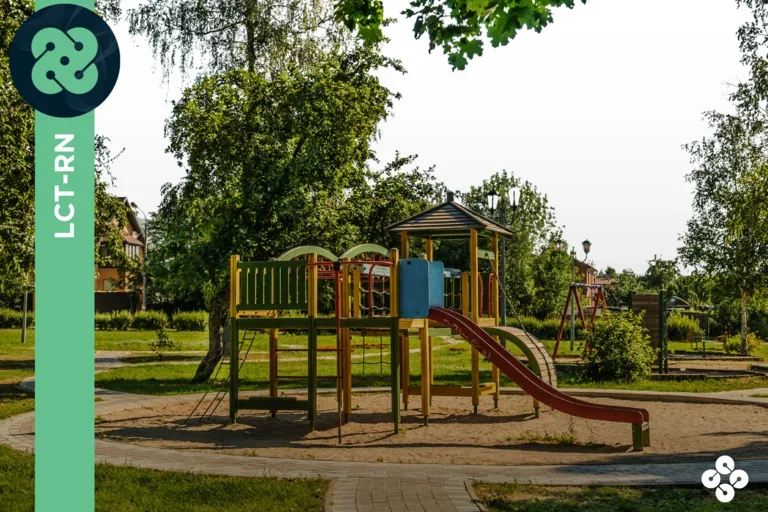 Empty playground in a park during midday. 