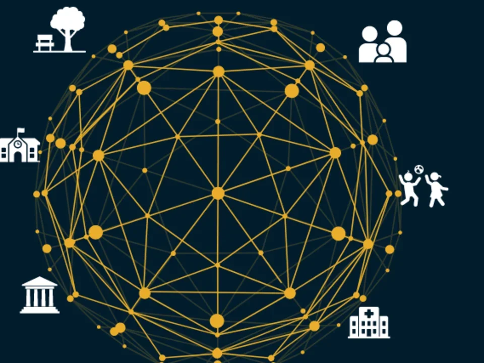 Illustration of a network diagram that shows the complexity of the ecosystem