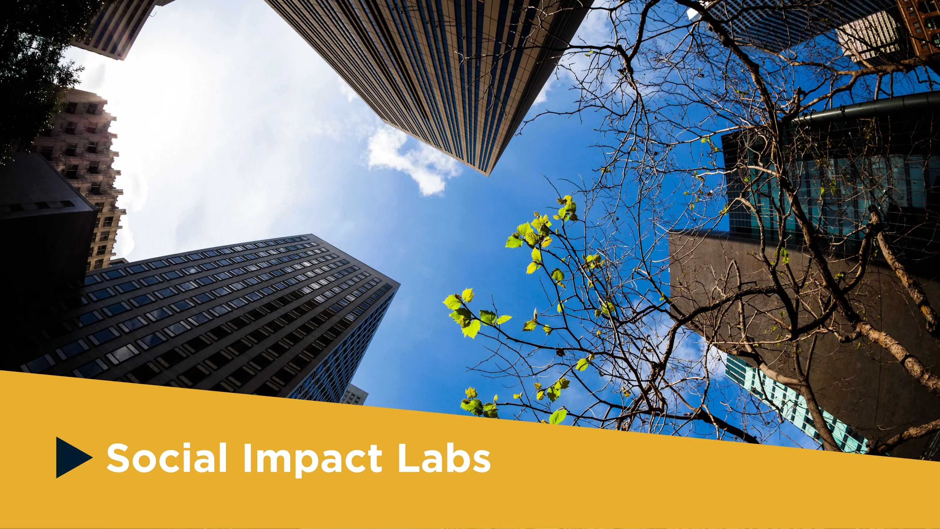 Photograph of city skyscrapers from the ground level, pointing upward. Blue sky in the background and a tree in the foreground. Yellow bar at the bottom reads "Social Impact Labs" with a navy triangle pointing right,